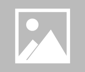 九游手机版-关于TheShy连续二十场比赛得分超过表现优异，MAD不断突破！的信息